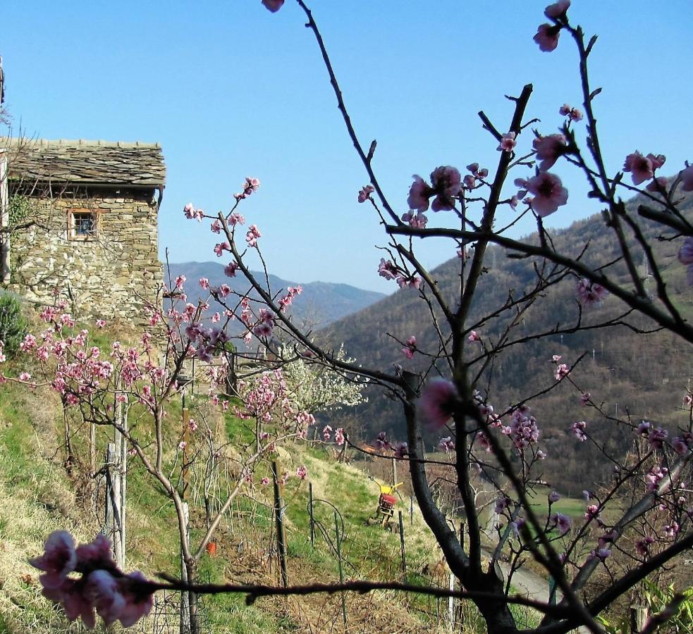 Il Cassero Pomaretto Bagian luar foto