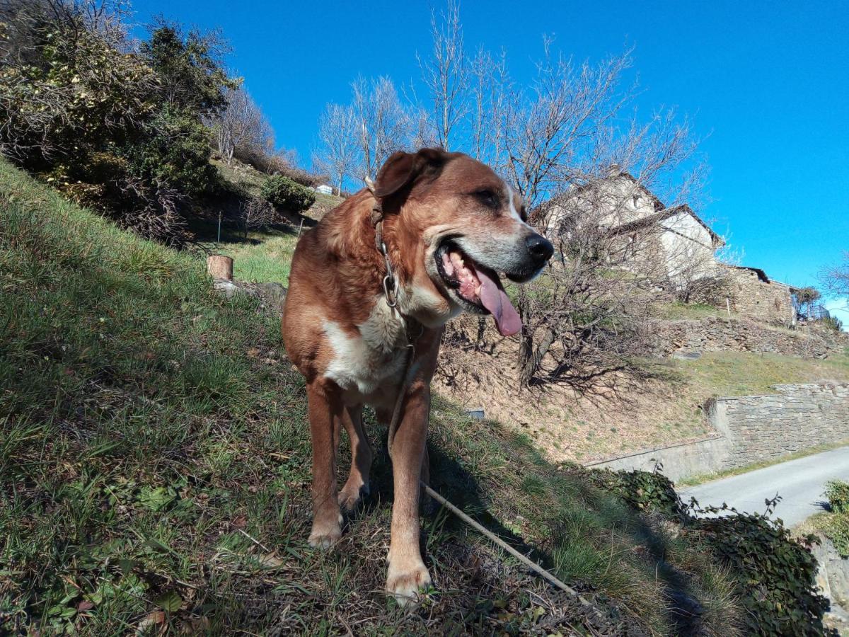 Il Cassero Pomaretto Bagian luar foto