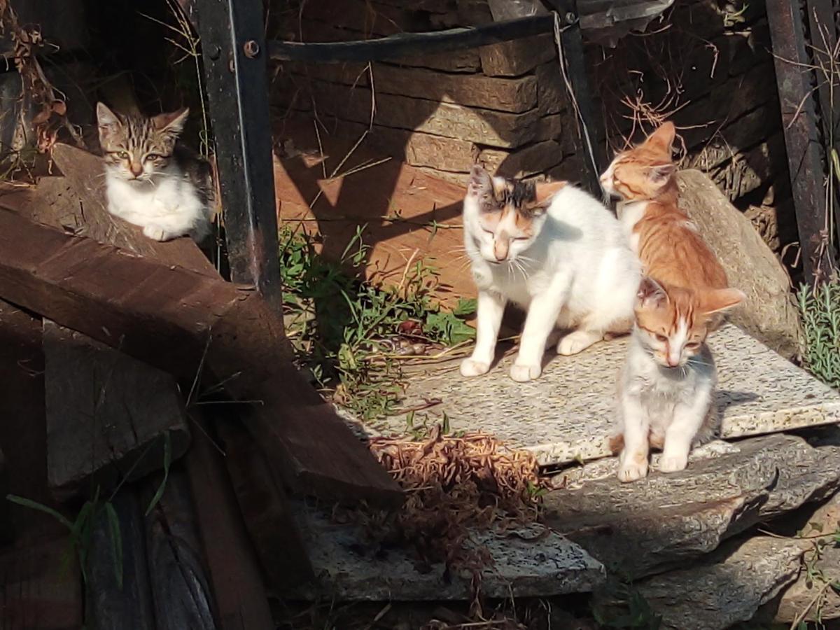 Il Cassero Pomaretto Bagian luar foto