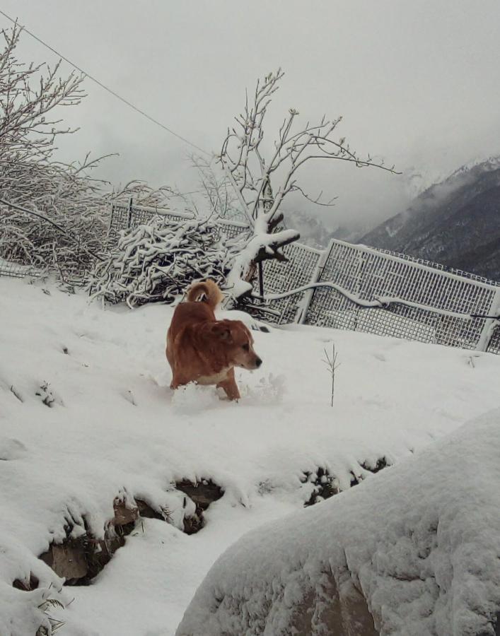 Il Cassero Pomaretto Bagian luar foto